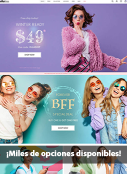 Diseño Web Profesional